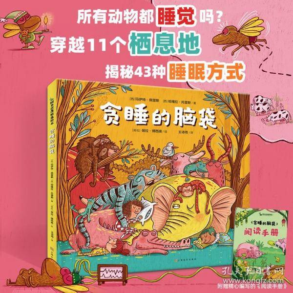 贪睡的脑袋