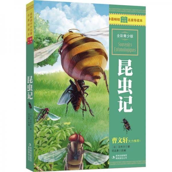 昆虫记