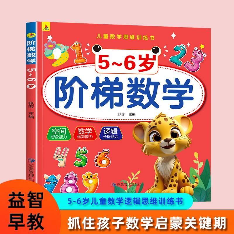 阶梯数学5-6岁幼儿园入园准空间 数学 思维逻辑 能力启蒙训练