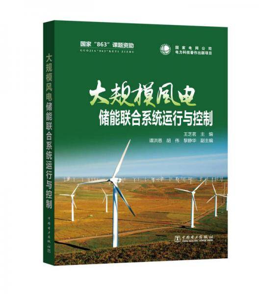 大规模风电储能联合系统运行与控制