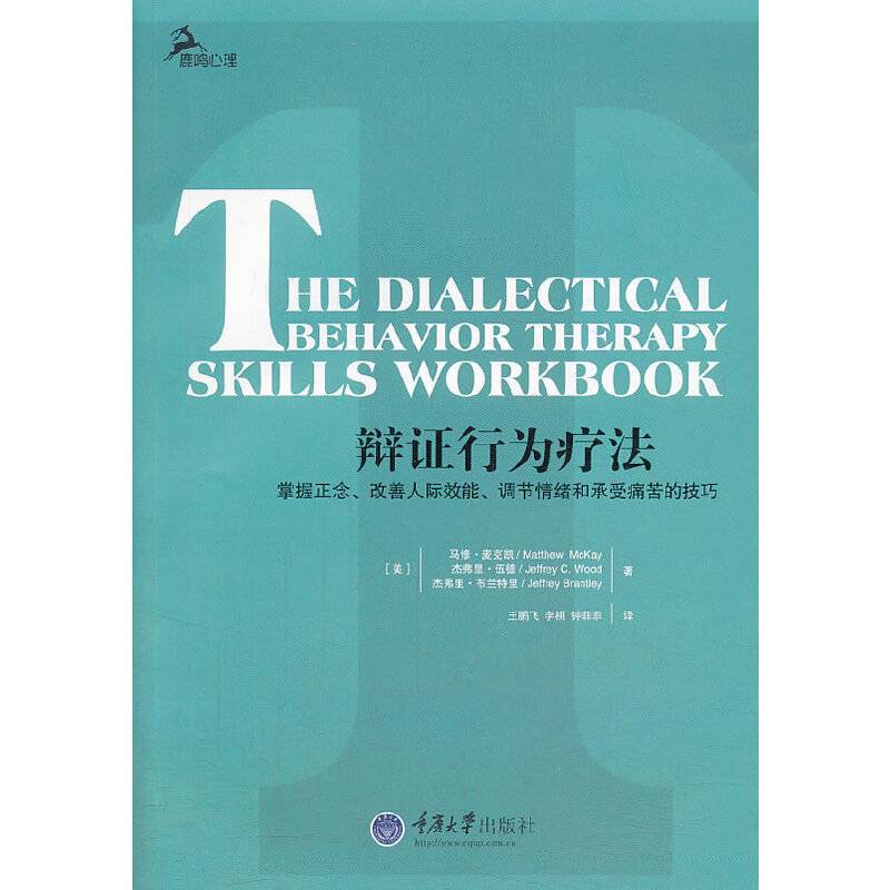 辩证行为疗法——掌握正念、改善人际效能、调节情绪和承受痛苦的技巧