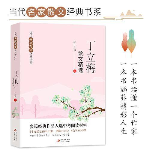 丁立梅散文精选 当代名家散文经典书系