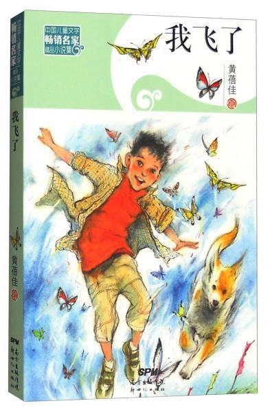 中国儿童文学畅销名家精品小说集:我飞了