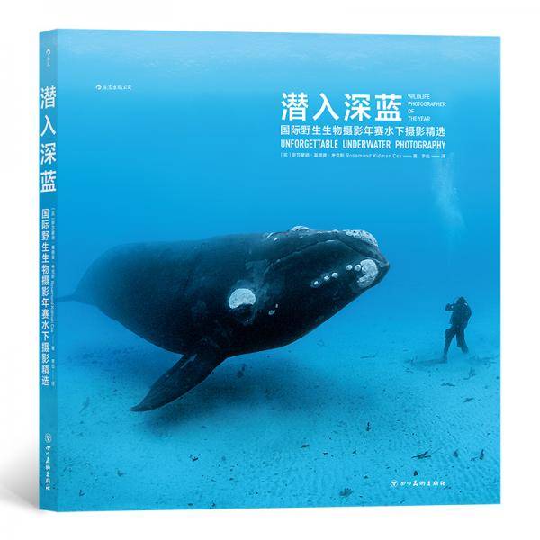 潜入深蓝