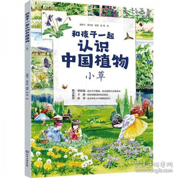和孩子一起认识中国植物 小草