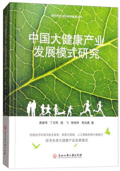 中国大健康产业发展模式研究