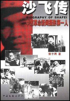 沙飞传