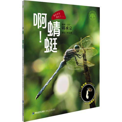 啊！蜻蜓