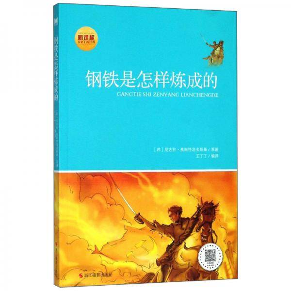 钢铁是怎样炼成的(新课标)