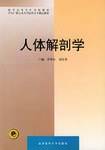 人体解剖学