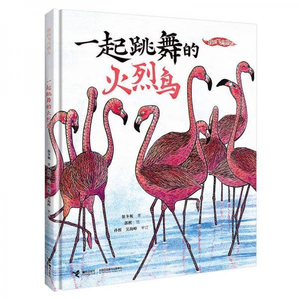 一起跳舞的火烈鸟/我的飞鸟朋友系列