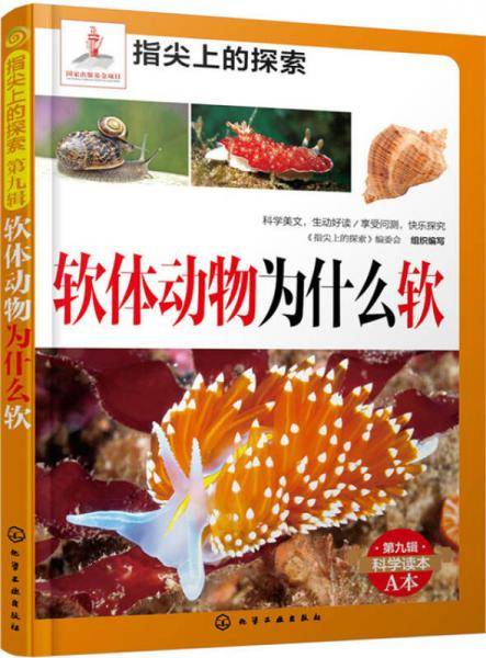 指尖上的探索：软体动物为什么软(附显隐灯)
