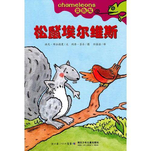 松鼠埃尔维斯