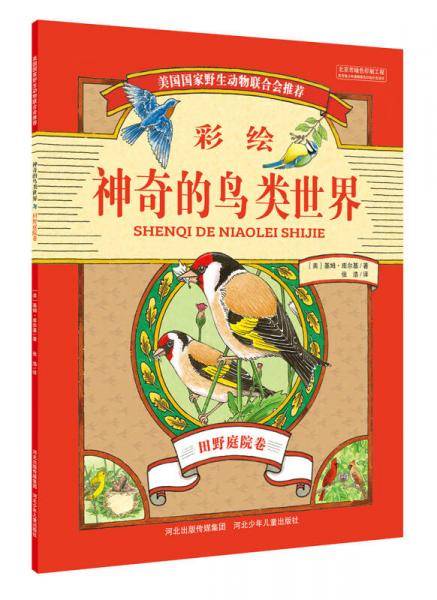 神奇的鸟类世界（田野庭院卷彩绘）