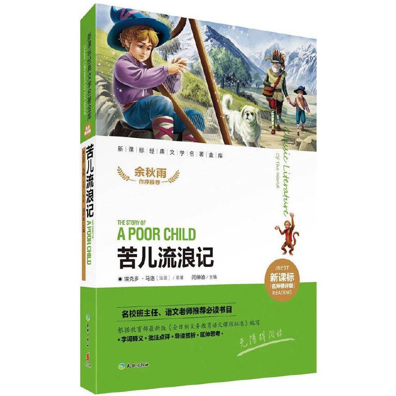 苦儿流浪记