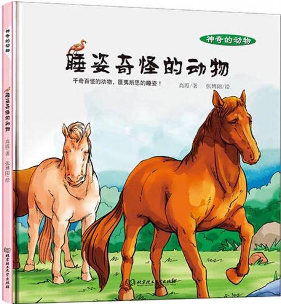 神奇的动物：睡姿奇怪的动物