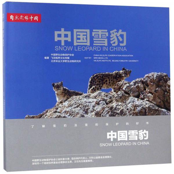 中国雪豹
