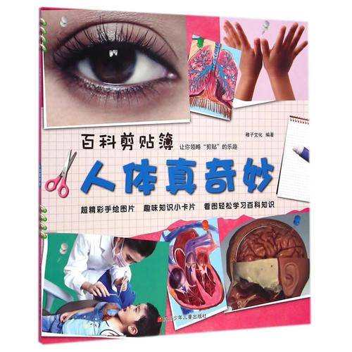 百科剪贴簿 人体真奇妙