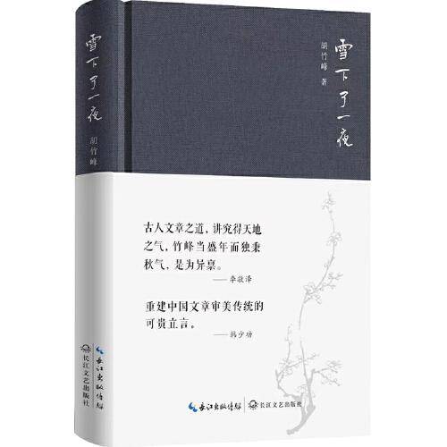 雪下了一夜