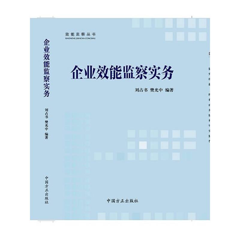 企业效能监察实务