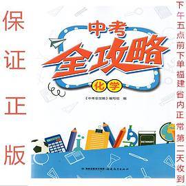 中考全攻略化学