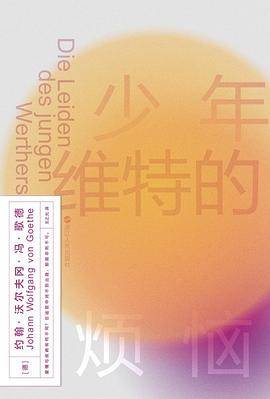少年维特的烦恼