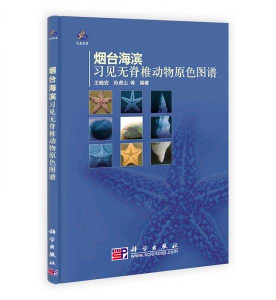 烟台海滨习见无脊椎动物原色图谱