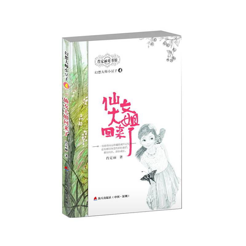 幻想大师小豆子 4 仙女大姐回来了