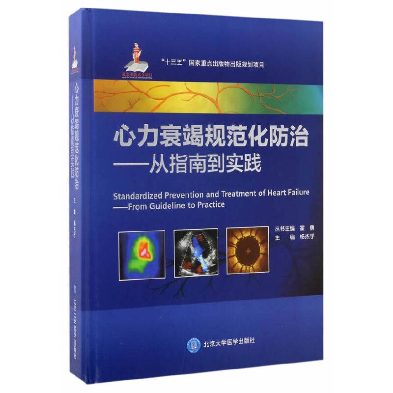 心力衰竭规范化防治――从指南到实践（国家出版基金项目八）
