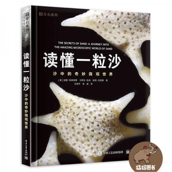 读懂一粒沙