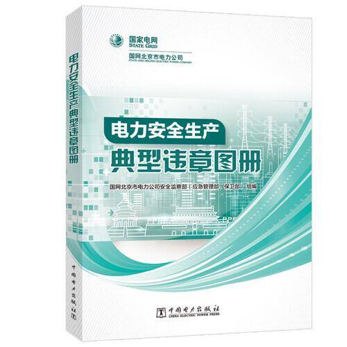 电力安全生产典型违章图册