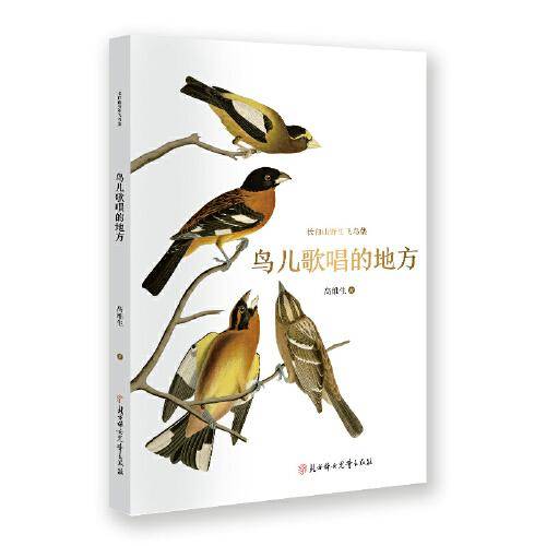 长白山野生飞鸟集 鸟儿歌唱的地方