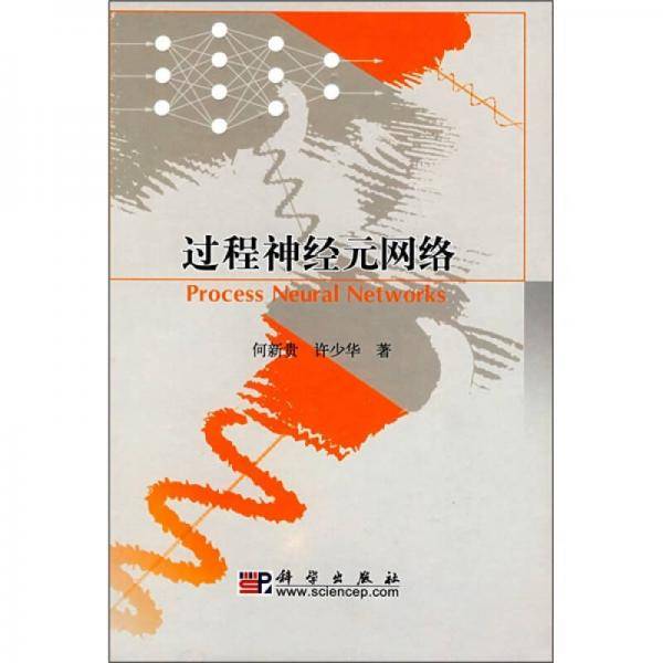 过程神经元网络