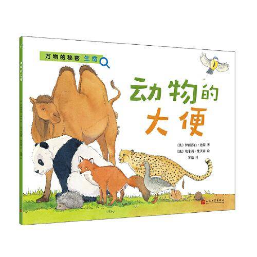 动物的大便