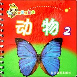 国旗1-宝宝快长大