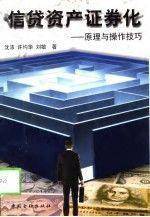 信贷资产证券化:原理与操作技巧