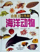 海洋动物