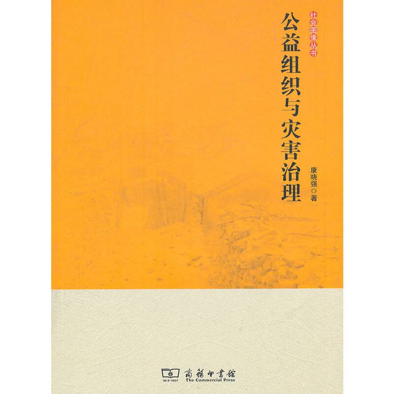 公益组织与灾害治理