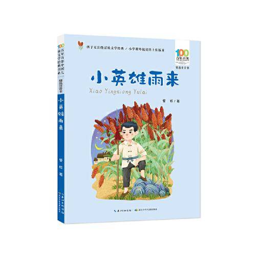 小英雄雨来 百年百部精选注音书
