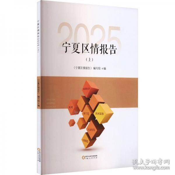 宁夏区情报告2025（上）
