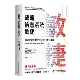 战略信息系统敏捷