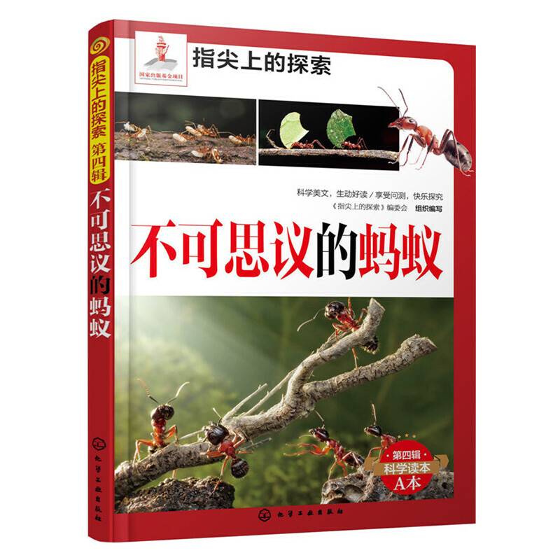 指尖上的探索--不可思议的蚂蚁