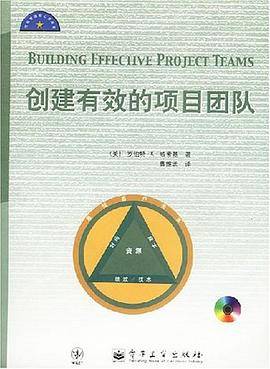 创建有效的项目团队