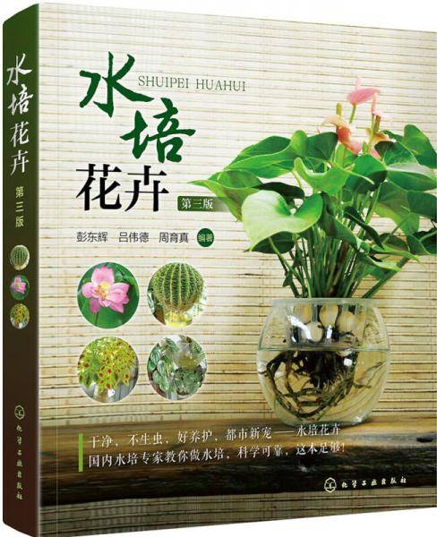 水培花卉