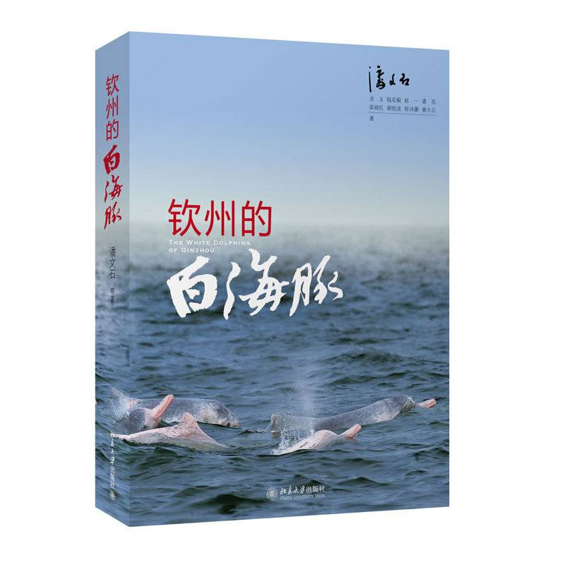 钦州的白海豚