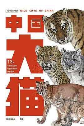 中国大猫