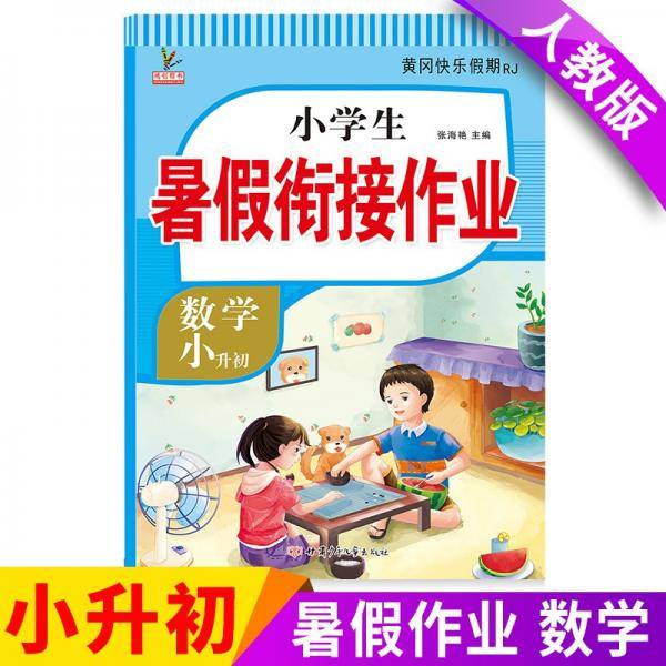 小学生暑假链接作业小升初年级.数学