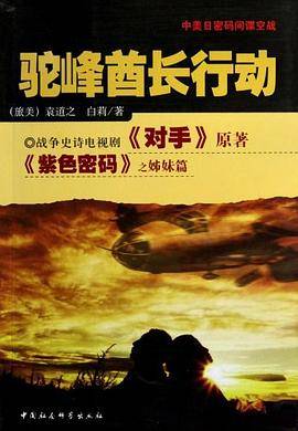 驼峰酋长行动
