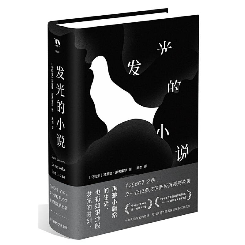 发光的小说