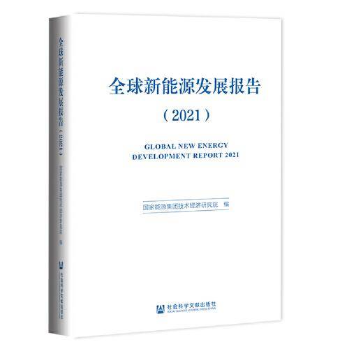 全球新能源发展报告（2021）